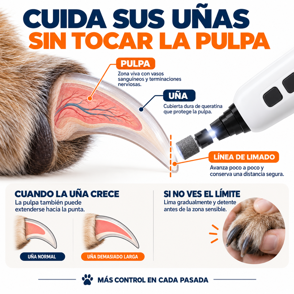 PawCare™ | Limador Eléctrico para Mascotas